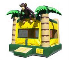 13x13 $ 86.00